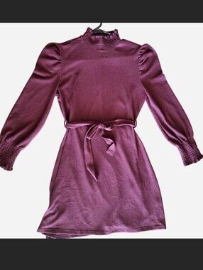 Absolutely Famous burgundy dress